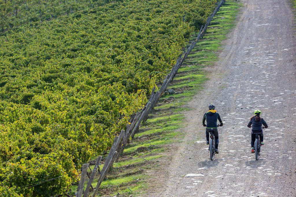 Villa Di Capovento Castellina in Chianti Exterior foto